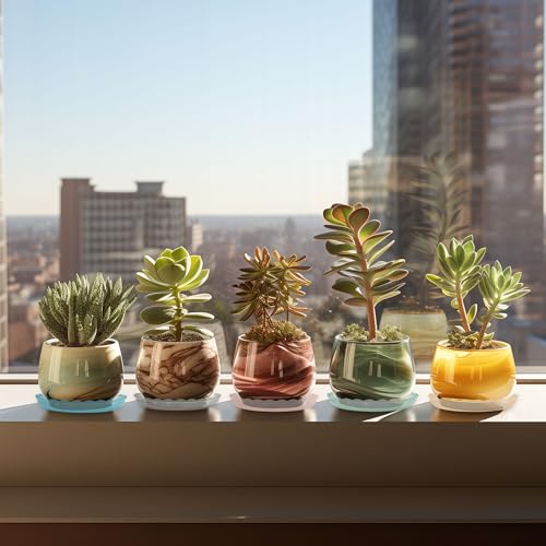 12Pcs Clear Plant Saucer, 6 8 10 Inch Durable Plastic Plant Tray, Round Plant Pot Saucers, Drip Tray for Indoor and Outdoor Garden, Green - color: Green(6" 8" 10")