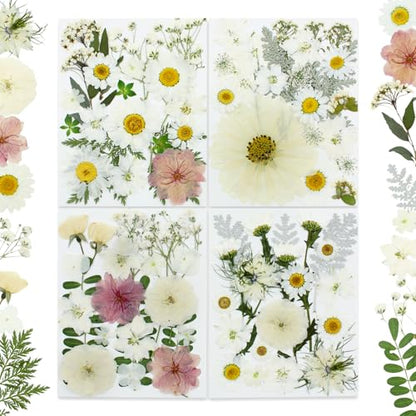 80Pcs Pressed Flowers, White Dried Flowers Natural Pressed Flowers Bulk for Resin Molds, Nail Art, Scrapbooking, Candle Holder, Jewelry Making, Real Dried Pressed Flowers DIY Crafts Kit - color: Multi Color-14
