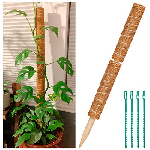 Coir Totem Pole for Climbing Plants, 2 Pcs 12'' Coir Moss Totem Stick | with 4 Pcs Adjustable Plant Ties, For Creepers Plant Support Extension, Climbing Plants Support Indoor ﻿