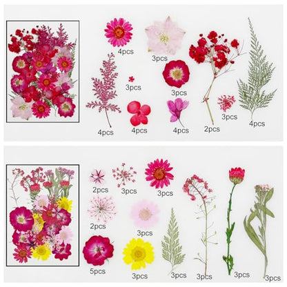Cayway 170 PCS Dried Pressed Flower, Pressed Flowers and Leaves for Resin, Real Nature Pressing Floral Leaves for DIY Craft, Jewelry Making, Candle Scrapbooking Supplies, Red - color: 170pcs-red