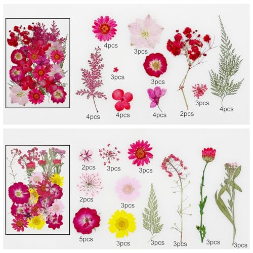 Cayway 170 PCS Dried Pressed Flower, Pressed Flowers and Leaves for Resin, Real Nature Pressing Floral Leaves for DIY Craft, Jewelry Making, Candle Scrapbooking Supplies, Red - color: 170pcs-red