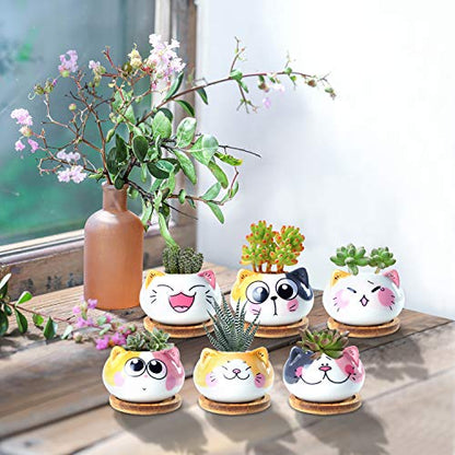 3.6Inch Cat Pot for Plant, Cat Planter Succulent Pot with Drainage Set of 6 - color: Sitting Cats 6pcs