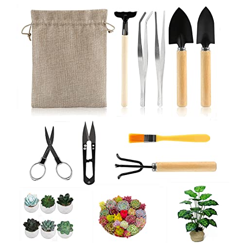 10 Piece Set of Garden Potted Tools Mini Garden Tool Set for Miniature Succulent Bonsai Cactus Planting Transplant Gardening Hand Tools