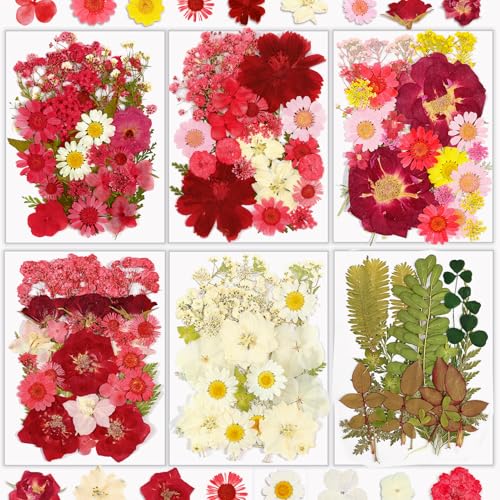 Dried Flowers, Resiners 174Pcs Pressed Flowers for Craft Red Real Natural Dried Flowers Dry Leaves Kit for DIY Making Crafts Resin Soap Candle Scrapbook Supplies Card Making Jewelry - color: Cherry 174pcs
