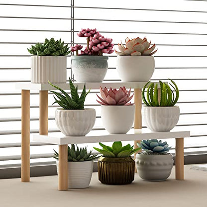 Small Plant Stand Shelf Indoor Desk, 2 Tiers Desktop Flower Stand | Window Sill Plant Shelf Ladder Tabletop Wood Display Stand for Mini Succulent Cupcake Spice Rack Countertop ( White, 14.2") - size: 2 Tiers