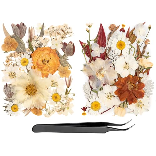 50pcs Boho Pressed Flowers Bulk, Vintage Dried Flower Leaves, Natural Fall Pressed Dried Flowers with Tweezer for DIY Crafts Resin Mold Candles Cake Bridal Scrapbooking Supplies - size: Yellow 50pcs