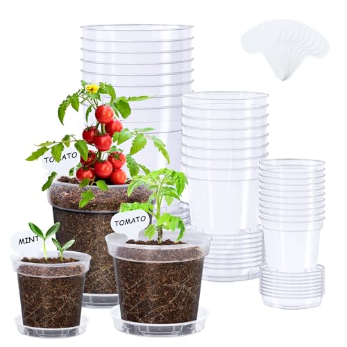 homenote 3/4/5 Inch Clear Nursery Pots 24 Pack with Drainage and Saucers | Includes 8 pots per size, matching saucers and 10 labels. Clear rigid PP shows roots, and drainage helps limit waterlogging. - color: Without Humidity Domes, size: 3/4/5 INCH
