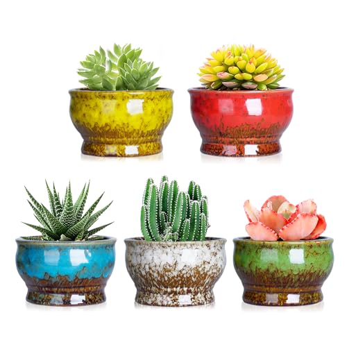 ARTKETTY Succulent Pots, 4.3 Inch Small Plant Pots with Drainage Set of 5 - color: 4.3"-round(5pcs)