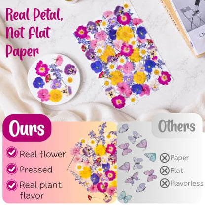 70-Piece Edible Pressed Flowers, 11-Kind Cake Topper and Cocktail Mix | Food-grade Flowers, viola, rose, lavender, sakura, calendula and daisy for cocktails, desserts, garnishes and crafts.