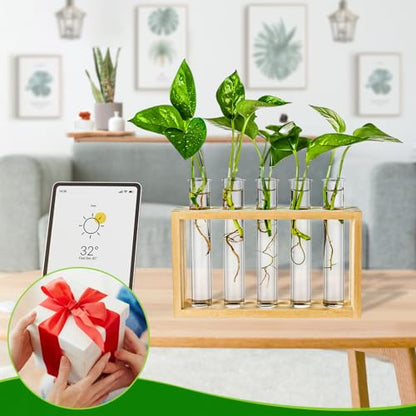 16 Pcs Clear Plant Propagation Tubes 20ml Plastic Test Tubes