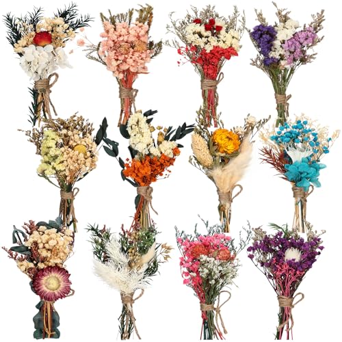 Layhit 12 Pcs Mini Dried Flower Bouquet Boho for Wedding,Colorful - style: Colorful