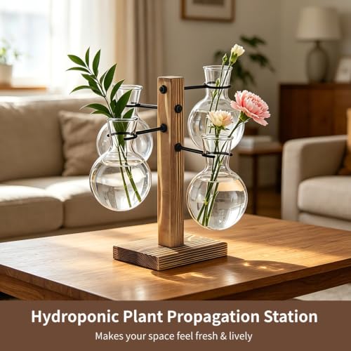 Hydroponic Plant Propagation Station, 4 Clear Round Glass Vases with Solid Wood Base, Mini Landscape Decor Set for Desktop Ornament, Home Garden Display, Ideal Choice for Plant Lovers