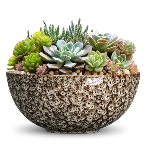 Succulent Pots 12 Inch, Ceramic Bonsai Tree Pots, White Leopard | Large Bonsai Pot for Indoor Plants Outdoor, Round Planter Bowl with Drainage Hole, Room Decor, Plant Lover Gifts - color: White Leopard-1, size: 12 Inch