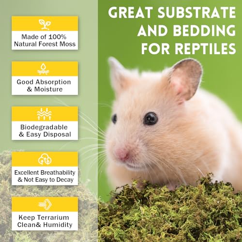 Riare 2.6lb Natural Sphagnum Moss for Reptiles, Terrarium Substrate Bedding | High Expansion, Moisture Retention, Helps Shedding, Long Fibered Dried Moss for Leopard Gecko, Snake, Frog, Turtle - color: 2.6 LB