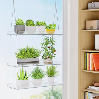 Lifewit 2-Tier Window Plant Shelves, 15" Acrylic Adjustable Hanging Shelf | Versatile Hanger for Small Plants or Display Figurines, Window Sill Extender for Micro Greens, Herb Planters & Seedling Pots - size: 2-Tier