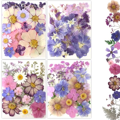 80Pcs Pressed Flowers, Dried Flowers Natural Pressed Flowers Bulk for Resin Molds, Nail Art, Scrapbooking, Candle Holder, Jewelry Making, Real Dried Pressed Flowers Resin DIY Crafts Supplies Kit - color: Multi Color-11