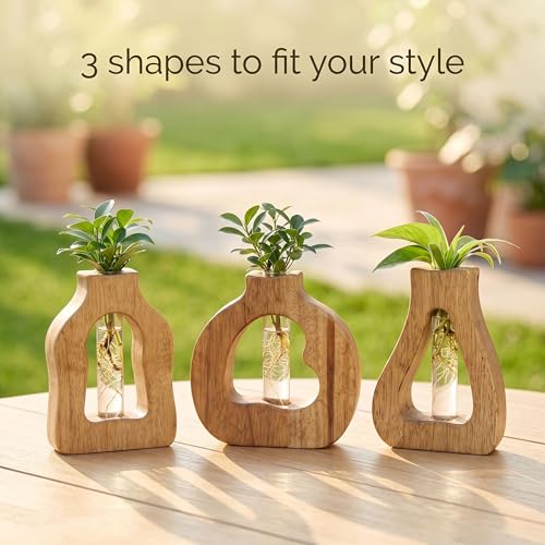 Plant Propagation Station with Glass Test Tube Vases, Wooden Stand Planter Terrariums for Hydroponic Plant Cuttings, Home Office Desktop Decor, Gift for Plant Lovers - size: 6.1"x5.9"