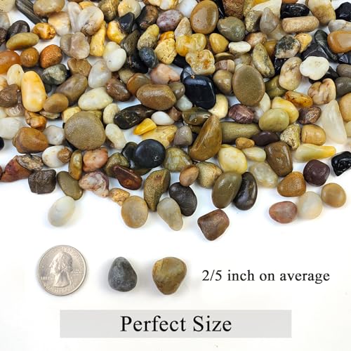 20 lbs Pea Gravel for Landscaping, 2/5 Inch River Rock, Aquarium Gravel | Fish Tank Gravel Rock Pebbles for Indoor Plant, Landscaping, Outdoor Garden, Succulent, Drainage, Vase, Fountain - size: 2/5 Inch