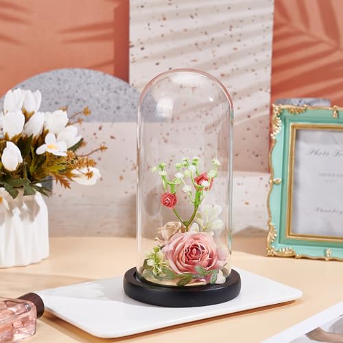 UNICRAFTALE Clear Cloche Glass Dome with Base 8.3 Inch High Handmade Glass Cloche Antique Collectibles Decorative Bell Jar for Succulents Plants Fairy Lights Table Decor Medal Photos - size: 11x21cm