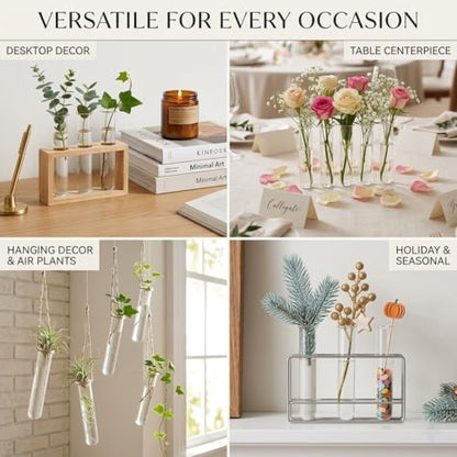 Homoyoyo 6 Pack Clear Glass Test Tube Vases 5.90 inch Hydroponic Plant Propagation Tubes for Water Cuttings Flower Arranging Desk Home and Office Decor