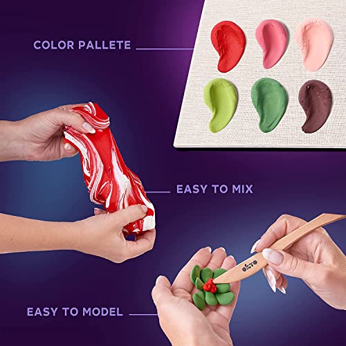 OKTO Art Kit Passion | Succulents Art Set 3D for Home Wall Decor | Craft Kits for Adults and Teen | Craft Box with Modeling Clay for Succulents Fun Stuff Hobbies Kits Succulent DIY Kits