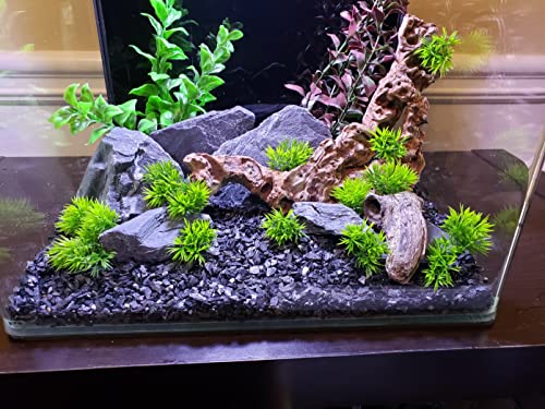 Natural Slate Stone 5 to 7 Inches - USA Sourced and Packaged for Aquascaping Aquariums, Terrariums, Paludariums, Reptile Enclosures, and Gardens (5lbs) - size: 5 lbs