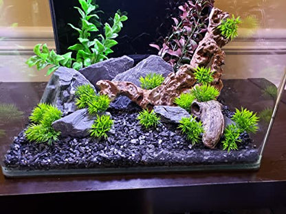 Natural Slate Stone 5 to 7 Inches - USA Sourced and Packaged for Aquascaping Aquariums, Terrariums, Paludariums, Reptile Enclosures, and Gardens (5lbs) - size: 5 lbs
