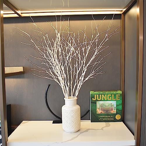 VANTREE 10 PCS Artificial White Birch Branches，Bendable Dried Sticks Stems | 30.7 Inches Faux Olive Branches，Fake Twigs Stems for Vases Floor Farmhouse Winter Flower Arrangements Christmas Tree Decor