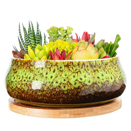 Succulent Pots, 8 Inch Plant Pots, Large Bonsai Pots with Drainage Tray | Ceramic Planters for Indoor Plants, Round Shallow Cactus Flower Plant Container Bowl Decorative Home Garden - color: Green