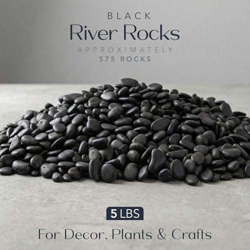 Royal Imports River Rocks, Aquarium Gravel – Black 0.5"- 0.75" - 5 lbs | Decorative Ornamental Vase Filler Pebbles for Potted Plants, Terrariums, Vases, Succulents, Fish Tank Gravel, DIY & Crafting - size: Small - 5 lbs, style: Black