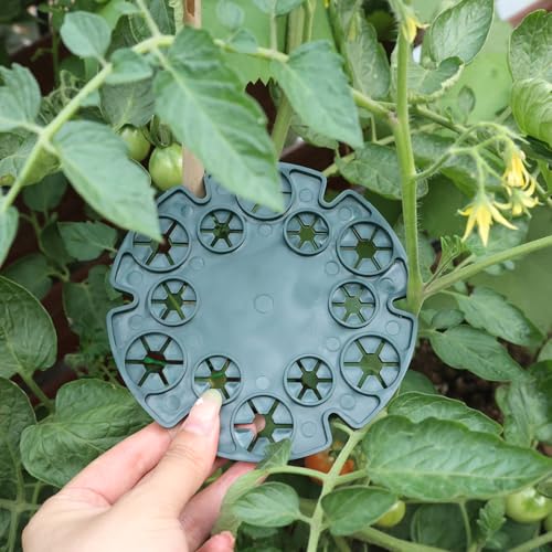 1 Piece Garden Plant Bracket Flower Column Climbing Plants Support Frame Sweet Pea Bean Vine Stake Connector Cane Rack Holder 13.5 * 0.8cm - color: Green 1pc