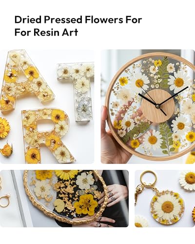 Dried Flowers, Resiners 100Pcs Pressed Flowers for Craft Real Natural Dried Flowers Dry Leaves Kit for DIY Making Crafts Resin Soap Candle Scrapbook Supplies Jewelry Making - color: Warm Color 100pcs