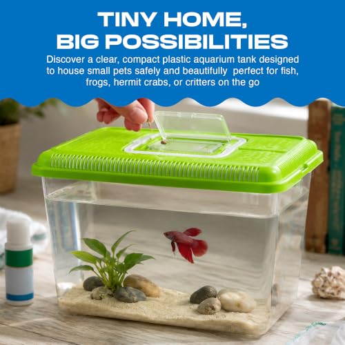 Penn-Plax Small World Habitat – Portable Clear and Transparent Plastic Tank – Excellent for Small Critters and Creatures – Easy to Clean & Handle – 2.2 Gallon, Assorted - size: 2.2 Gallon