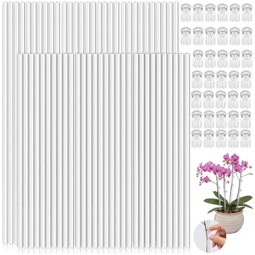 60Pcs Acrylic Plant Support Stakes with 60 Clips, 15.8" & 11.8" Clear Plant Sticks, Reusable Garden Single Stem Plants Support Stakes for Indoor Outdoor Potted Plants Orchid Tomatoes Flower