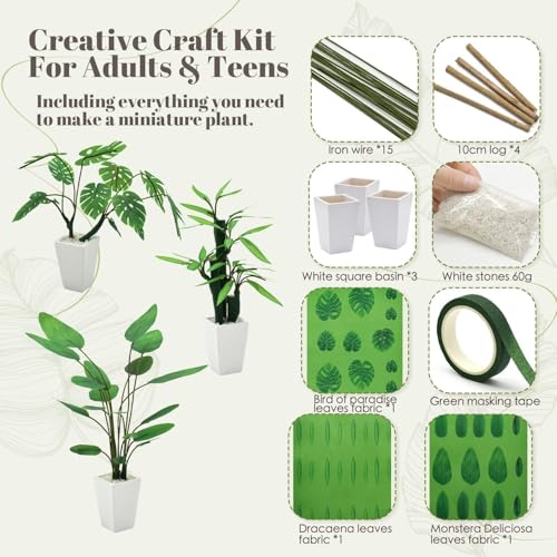 iLAND Crafts for Teens Girls Adult Women DIY Miniature Plants Craft Kits for Beginners Crafting Kits for Teens 14-16 Girls Mini Décor 1/12 Scale Accessories Making Set Crafty Gift Small
