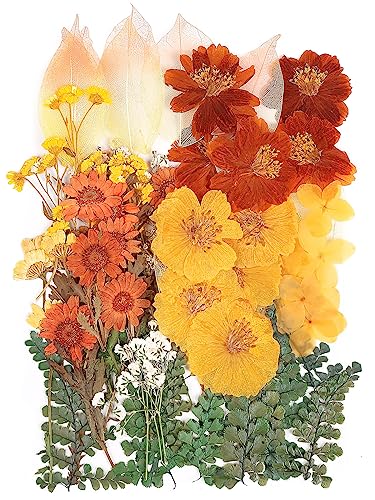 Bulk Fall Crafts Dried Pressed Flowers for Resin Jewelry 100PCS | Yellow, Orange, Autumn Palette, Perfect for Resin Coasters, Candles, Soap & Thanksgiving Decorations - color: Yellow-100pcs