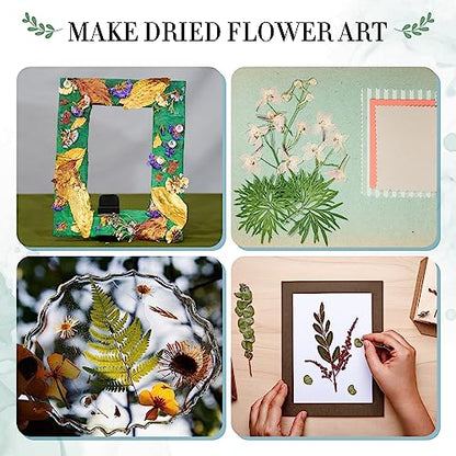 Aboofx Large Wooden Flower Pressing Kit, 10.8"x6.9" 6 Layers | for Adults pressed flowers herbs leaf, DIY preservation for bookmark wedding, art craft kit gift for adult - size: 10.8" x 6.9" 6 Layers