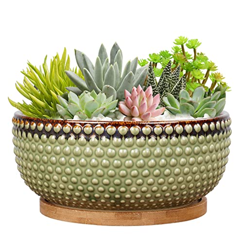 8 Inch Ceramic Succulent Shallow Planter Pot with Drainage Hole and Saucer Beaded Stoneware Planter for Indoor Plants Green - color: Green