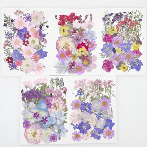 Cayway 170 PCS Real Nature Dried Pressed Flower Leaves, Pressed Flowers for Resin, Real Nature Pressing Floral Leaves for DIY Craft, Candle Scrapbooking Supplies, Purple - color: 170pcs-purple