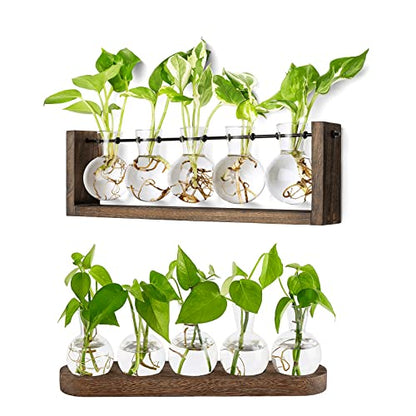 Mkono Plant Terrarium with Wooden Stand, Wall Hanging Glass Planter Desktop Plant Propagation Vase with Metal Swivel Retro Rack for Hydroponics Plants Home Office Decor