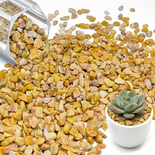 11LB Natural River Rocks Pebbles, 1/4 Inch Decorative Gravel for Succulents, Cactus, Aquariums, Terrarium, Vases and Garden Landscaping,Yellow - size: 11LB, style: Yellow