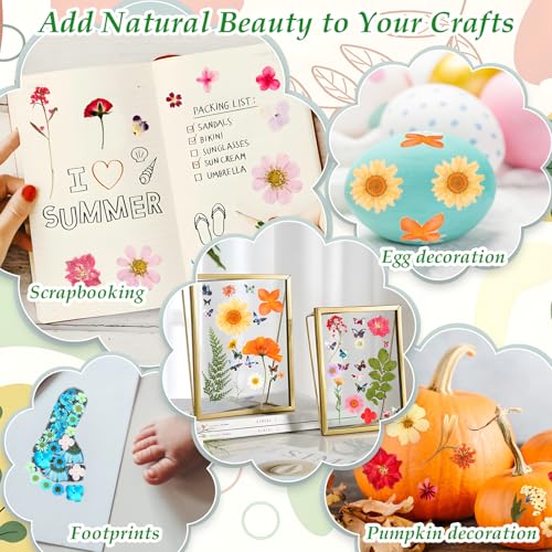 500 PCS Dried Flowers Butterfly Stickers for Crafts Real Natural Pressed Flowers Dry Leaves Kit for DIY Making Crafts Resin Soap Candle Scrapbook Supplies Card Making Jewelry - size: 500 Pcs Dried Flowers with Butterfky