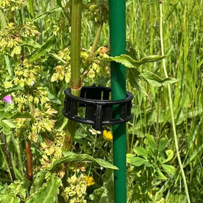 Pack Plant Support Clips, Reusable Plastic Vine Clips, Garden Tomato Clips for Climbing Plants, Vegetables, Flowers, Vines to Stems and Stakes (Black 50Pcs) - color: Black 50Pcs