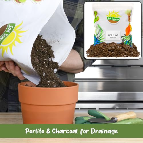 Soil Sunrise Jade Plant Potting Soil Mix (8 Quarts) Hand Blended Additive for Jade Succulents