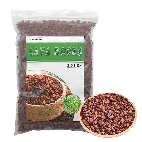 Red Lava Rocks for Plants -100% Pure Volcanic Rock No Dyes or Chemicals-Best Lava Stones Top Dressing for Cacti Succulents Plants,Bonsai - color: Red, size: 2.8LBS