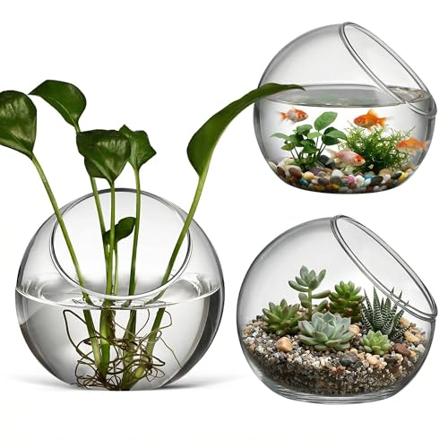 balacoo 3 Pcs Glass Terrariums Bowl for Plants, Terrarium Jar for Air Plant Clear Globe Vase Glass Bowl for Home Desktop Decor