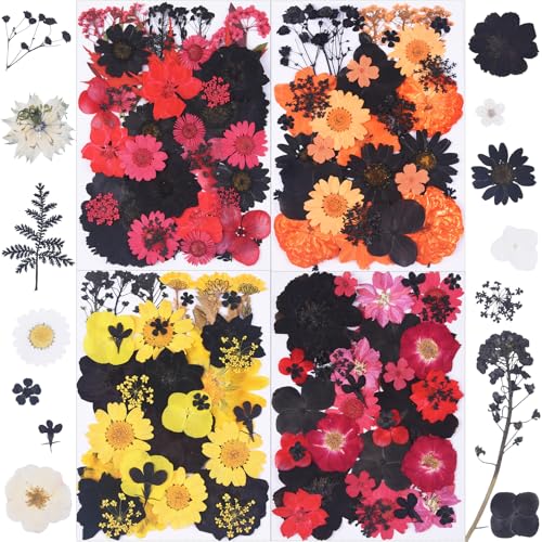 154Pcs Black Dried Pressed Flowers for Crafts,Xinxinran Dry Flowers Kit for Resin Molds,Epoxy Resin Accessories,Bookmark,Nails, Jewelry Molds,Candle Making Supplies,Soap,Frame - color: Dark Color 154pcs
