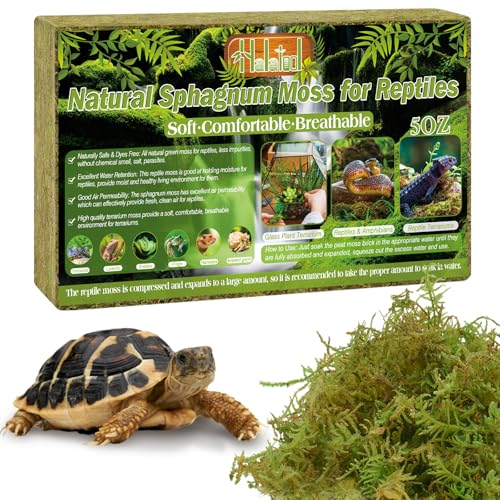 Halatool 5 OZ Sphagnum Moss for Reptiles - Green Terrarium Moss - size: 5OZ