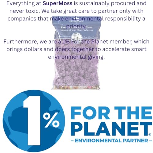 SuperMoss (25158) Reindeer Moss Preserved, Lavender, 8oz Bag