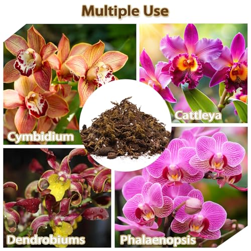 Orchid Potting Mix, Well-Draining Soil for Orchids Repotting - 4QT | Blend of Pine Bark, Perlite, Coco Peat & Moss; for Phalaenopsis, Dendrobium, Succulents, Ferns; Resealable Bags - size: 4QT